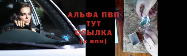 стафф Саяногорск