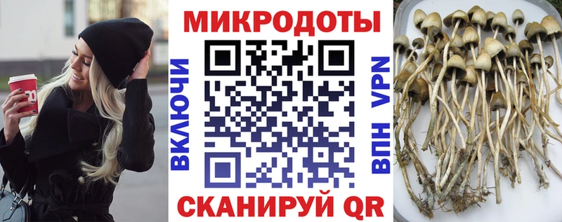 гидра как войти  мориарти формула  Афипский  Галлюциногенные грибы Magic Shrooms  купить  цена 
